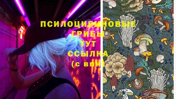 mdpv Белоозёрский