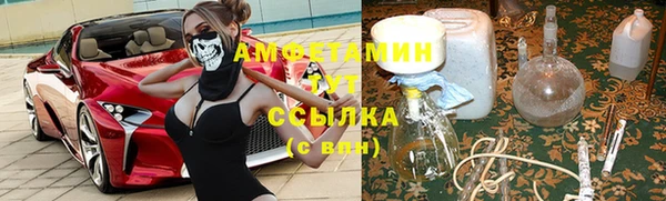 трава Беломорск